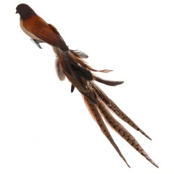 PÁJARO CLIP COLA PLUMAS MARRÓN 50CM