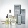 MIKADO WINTER WHIMSY 100ML VERDECORA