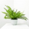ESPARRAGUERA T20 COLGADOR