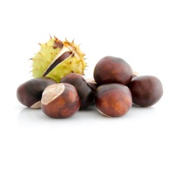 CASTAÑO 10L RESIDUO CERO