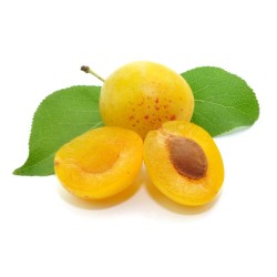 CIRUELO AMARILLO 10L