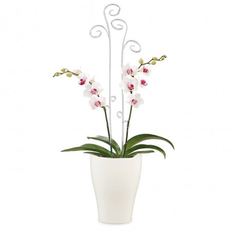 TUTOR ORQUÍDEAS TRANSPARENTE