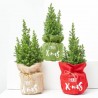 MINI ABETO FELIZ NAVIDAD 13CM