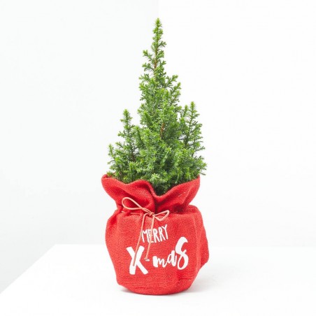MINI ABETO FELIZ NAVIDAD 13CM