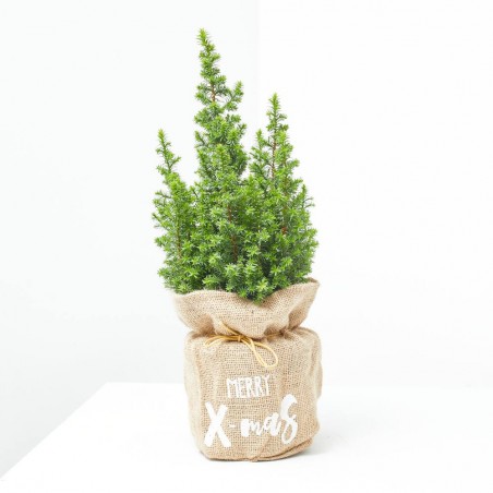 MINI ABETO FELIZ NAVIDAD 13CM