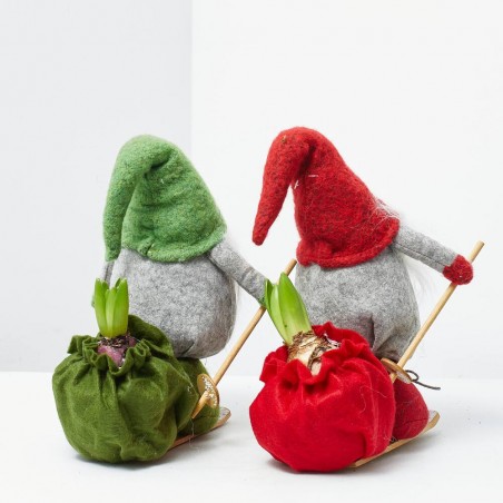 JACINTO CON SANTA ESQUIADOR