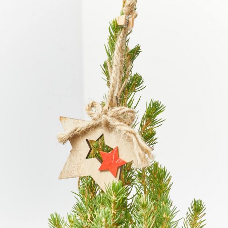 PICEA CON MACETERO DE RAFIA NAVIDAD Y LUZ