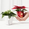 FLOR DE PASCUA M-6 C/CUBRE NAVIDEÑO NEW