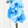 ORQUÍDEA PHALAENOPSIS AZUL 2 TALLOS CON MACETERO CERÁMICA