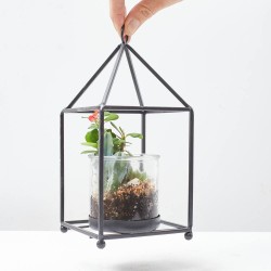 COMPO TEA LIGHT