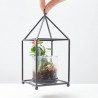 COMPO TEA LIGHT
