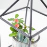 COMPO TEA LIGHT
