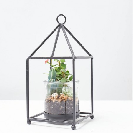 COMPO TEA LIGHT