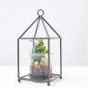 COMPO TEA LIGHT
