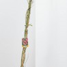 ROSAL BANKSIAE ROSEA MACETA 10 LITROS