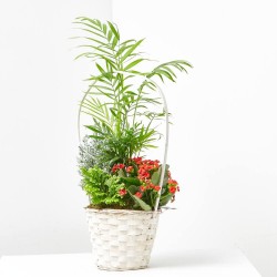 CESTA BLANCA CON PINO NEVADO