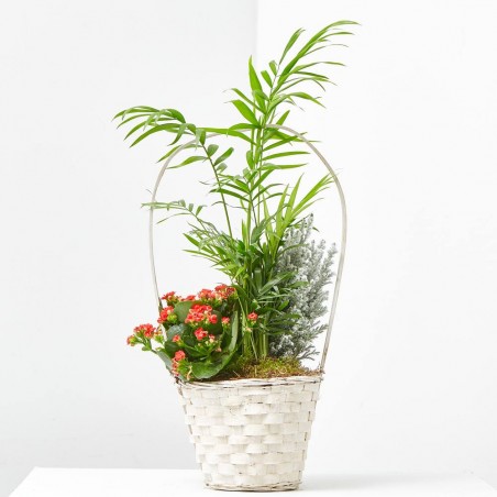CESTA BLANCA CON PINO NEVADO