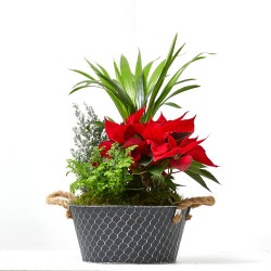 COMPOSICIÓN PLANTAS NATURALES NAVIDAD LATÓN NEGRO