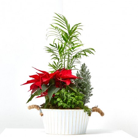 COMPOSICIÓN PLANTAS NATURALES NAVIDAD LATÓN BLANCO