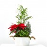 COMPOSICIÓN PLANTAS NATURALES NAVIDAD LATÓN BLANCO