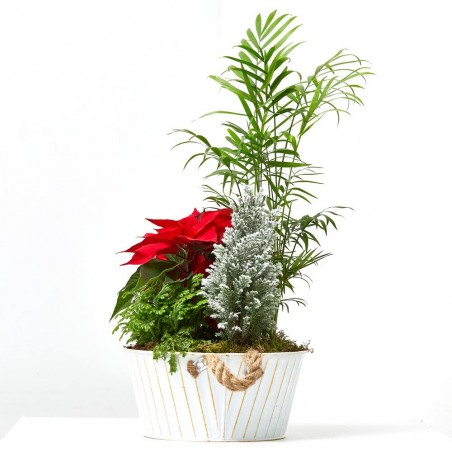 COMPOSICIÓN PLANTAS NATURALES NAVIDAD LATÓN BLANCO