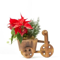 COMPOSICIÓN NAVIDAD TRICICLO MADERA