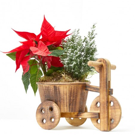 COMPOSICIÓN NAVIDAD TRICICLO MADERA