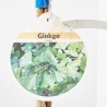 GINKGO BILOBA MACETA 10L