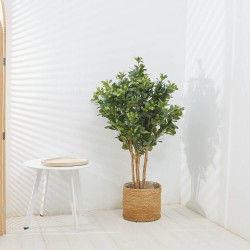 PLANTA PITTOSPORUM ARTIFICIAL 120CM