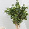 PLANTA PITTOSPORUM ARTIFICIAL 120CM