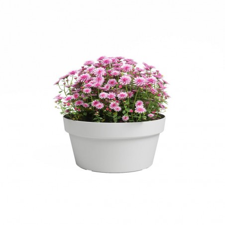 BOL CAPRI BLANCO 25CM