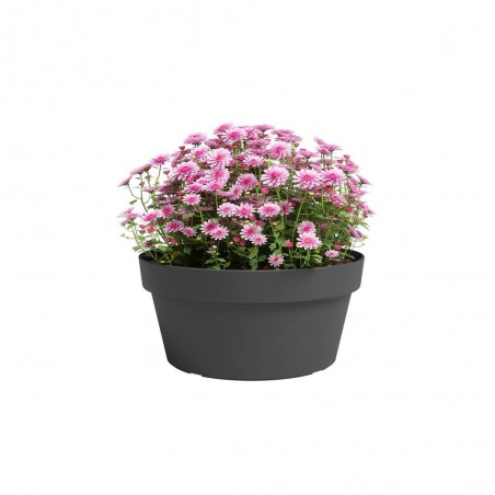 BOL CAPRI ANTRACITA 25CM