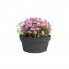 BOL CAPRI ANTRACITA 25CM
