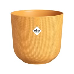 MACETERO JAZZ AMBER YELLOW