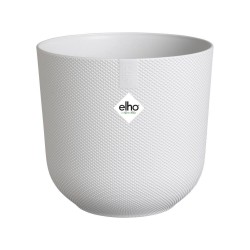 MACETERO JAZZ SILKY WHITE