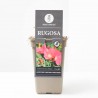 ROSAL RUGOSA