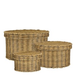 CESTA LIAN CON TAPA