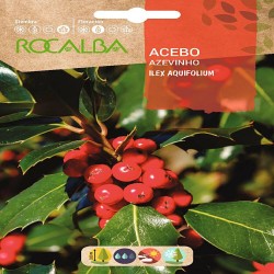 SEMILLAS ACEBO