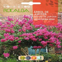 SEMILLAS ÁRBOL DE JÚPITER