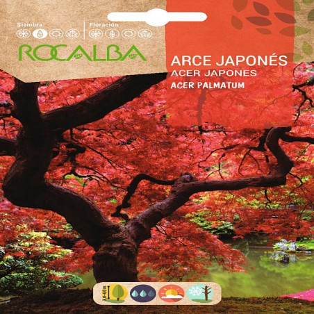 SEMILLAS ARCE JAPONÉS