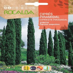 SEMILLAS CIPRÉS PIRAMIDAL