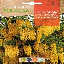 SEMILLAS LLUVIA DE ORO