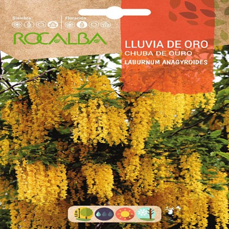 SEMILLAS LLUVIA DE ORO