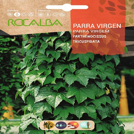SEMILLAS PARRA VIRGEN