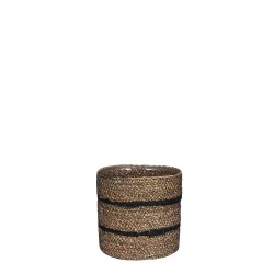 CESTA CELESTIAL