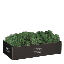 MUSGO VERDE OSCURO 500GR