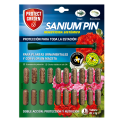 INSECTICIDA CLAVO SANIUM 20X2GR
