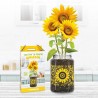 KIT CULTIVO GIRASOL