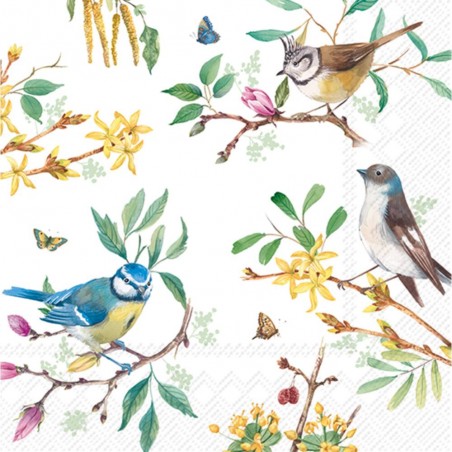 SERVILLETAS HISTORIA DE PRIMAVERA