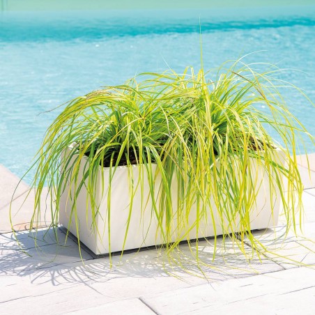 JARDINERA MILLENNIUM BLANCO PERLA RESERVA DE AGUA